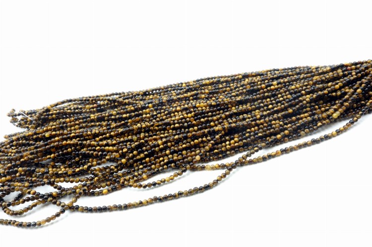 tygrys maly gladki 2.JPG