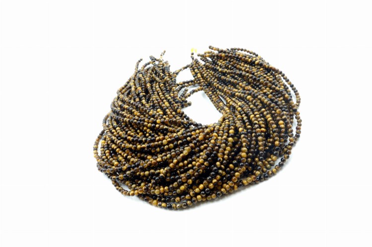 tygrys maly gladki.JPG